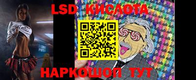 индика Можга