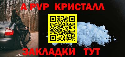 индика Можга