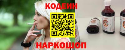 индика Можга
