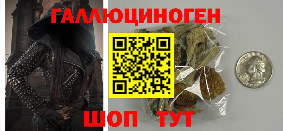 Арсеньев  Псилоцибиновые грибы ЛСД  Вход с VPN 